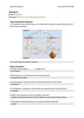 IAG&lowbar;11 Complete Study Guide 2025&sol;2026 with Solution and Exam Mastery