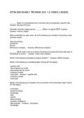 ISTM 209 EXAM 1 REVIEW &lpar;CH 1-4 VIDEO CASES&rpar;
