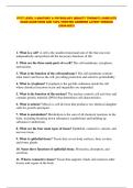 VTCT LEVEL 3 ANATOMY & PHYSIOLOGY &lpar;BEAUTY THERAPY&rpar; COMPLETE EXAM QUESTIONS AND 100&percnt; VERIFIED ANSWERS LATEST VERSION &lpar;2026-2027&rpar;