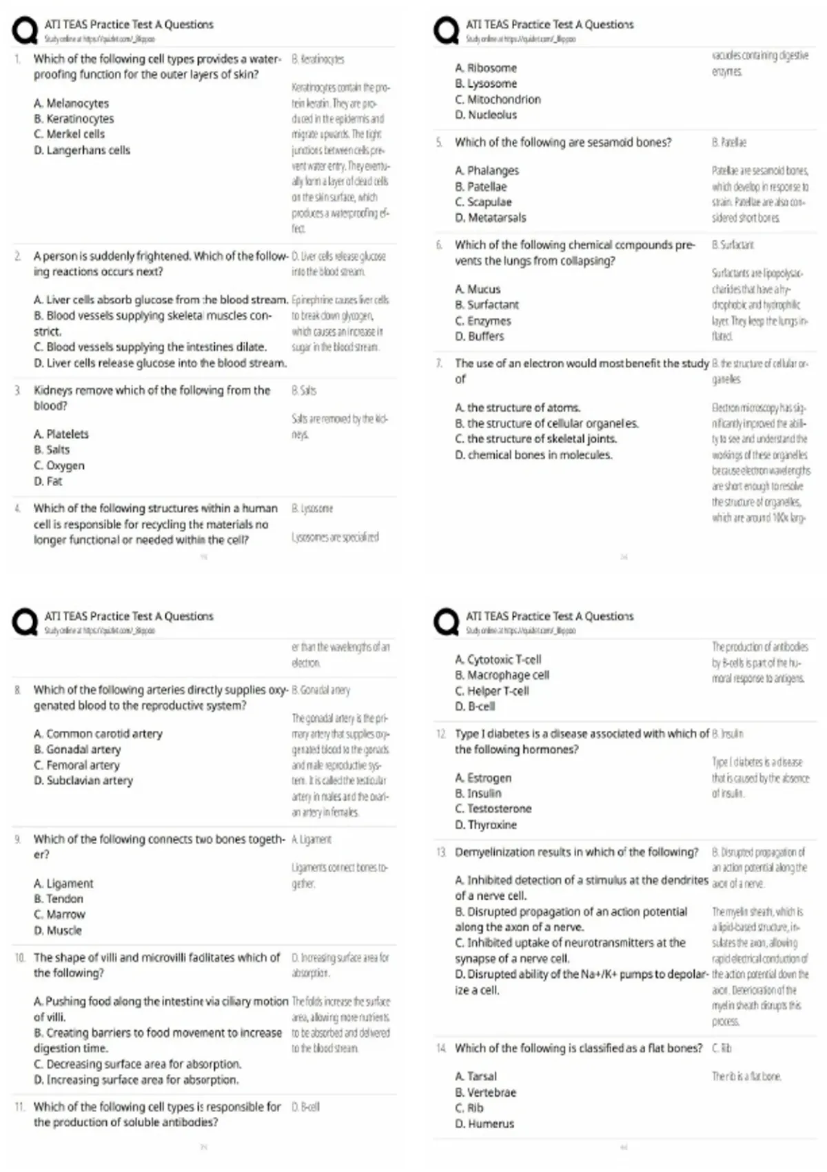 ATI TEAS Practice Test A Questions / Score 100% / 2026 Updated Prep ...