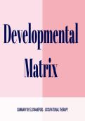 Developmental Milestones&sol;Matrix Flashcards