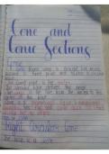 Cone and Conic Sections &vert; Grade 12 Pre-Calculus Notes