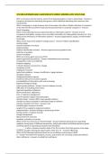 ISTM 209 CURTSINGER EXAM 1 QUESTIONS WITH CORRECT ANSWERS LATEST UPDATE 2026