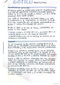 Resumen -  Arquitectura g&oacute;tico 