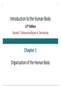 Chapter 01&colon; Introduction to the Human Body &ndash; Test Bank &vert; Human Anatomy & Physiology&comma; 11th Edition by Gerard J&period; Tortora & Bryan H&period; Derrickson &lpar;2026 Updated&rpar;