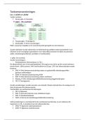 Samenvatting Toekomstvoorzieningen&semi; minor Financi&euml;le planning