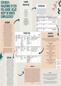 CAT- poster analyse complexe zorgsituatie&comma; behaald met een 9&excl;