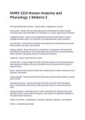 NURS 1210 Human Anatomy and Physiology 1 Midterm 2&period; Questions and Answers 2026