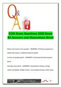 CCHI Core Exam 2026 &vert; 300&plus; Verified Questions & Illustrated Answers &vert; Ethics&comma; Terminology&comma; Anatomy&comma; Interpreter Roles
