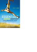 Test Bank&colon; Essentials of Human Anatomy and Physiology &lpar;10th Edition&rpar; &ndash; Elaine N&period; MarieB