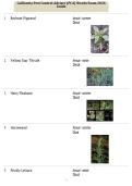 California Pest Control Adviser &lpar;PCA&rpar; Weeds Exam 2026 Guide