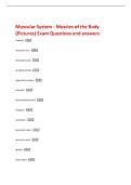 Muscular System - Muscles of the Body  &lpar;Pictures&rpar; Exam Questions and answers 