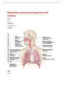 Respiratory system Exam Questions and  answers 