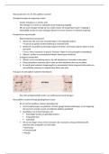 Neuroanatomie 1 hc 10 BWB215
