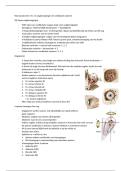 Neuroanatomie 1 hc 11 BWB215