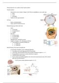 Neuroanatomie 1 hc 12 BWB215