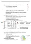 Neuroanatomie 1 hc 13 BWB215