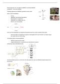 Neuroanatomie 1 hc 14 BWB215