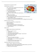 Neuroanatomie 1 hc 15 BWB215