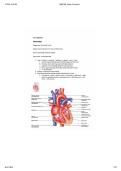 BMS 308 Human Physiology Exam 3 Study Guide &ndash; Cardiovascular System&comma; ECG&comma; Cardiac Cycle&comma; Stroke Volume 2026