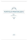 Praktijkleren 3&comma; Portfolio compleet&period; Case uitwerking &lpar;GVE-3&period;PL3-23&rpar; &lpar;7&comma;6&excl;&rpar;
