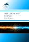 PHYS 1201 &ndash; Classical Physics I Fall 2025 Lab 8&colon; Collisions in One Dimension latest updated version with 100&percnt; accuracy