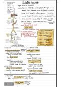 ANATOMY