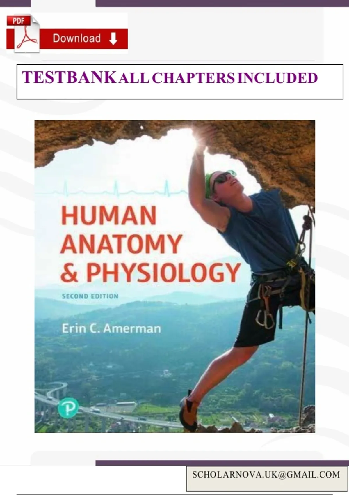Test Bank For Human Anatomy & Physiology 3rd Edition By Eric C.Amerman ...