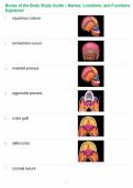 Bones of the Body Study Guide &ndash; Names&comma; Locations&comma; and Functions Explained