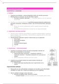 Volledige samenvatting cognitieve psychologie &lpar;HOC en WPO&rpar;