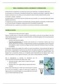 FISIOLOGIA MOLECULAR DE PLANTAS