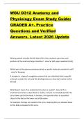 WGU D312 Anatomy and  Physiology Exam Study Guide&colon;  GRADED A&plus;&period; Practice  Questions and Verified  Answers&period; Latest 2026 Update 