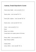 Anatomy&comma; Female Reproductive System Questions Answers