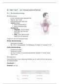 Hoofdstuk 8 - hart en bloedvatenstelsel - anatomie