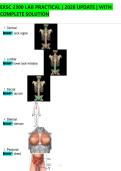 EXSC 2300 LAB PRACTICAL &vert; 2026 UPDATE &vert; WITH COMPLETE SOLUTION