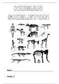 Skeleton Notes