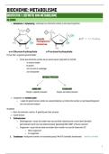 Biochemie - partim metabolisme 