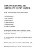 LMSW EXAM REVIEW BUNDLE 2026 QUESTIONS WITH COMPLETE SOLUTIONS