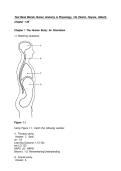 Test Bank - Human Anatomy & Physiology&comma; 12th Global Edition &lpar;Marieb&comma; 2023&rpar;&comma; Chapter 1-29 &vert; All Chapters