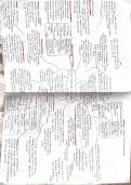 The Revision Notes that got me an A in A level English Language 