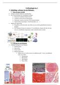 Celfysiologie Les 1 &ndash; Stamcellen&comma; Wnt-signaling & EPO &lpar;Examengerichte Samenvatting &ndash; KU Leuven&rpar;
