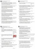 NR 302 Health Assessment Final Exam &sol; Score 100&percnt; &sol; New Version 2025 Update &sol; Comprehensive Practice Test with Rationales