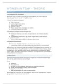 Samenvatting Theorie PRA 1 Werken In Team 