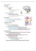 Samenvatting B1 MTI-2 Q3 &lpar;Centraal & Perifeer Zenuwstelsel&rpar;