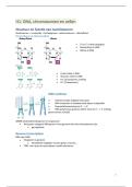 VOLLEDIGE SV moleculaire biologie 2e Ba BMW
