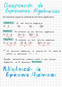 Resumen Claro sobre la Clasificaci&oacute;n de expresiones algebraicas m&aacute;s Multiplicaci&oacute;n de expresiones algebraicas&period;