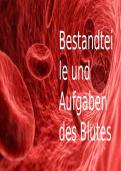 Aufgaben und Bestandteile des Blutes &ndash; Pflege Notizen f&uuml;r Studenten