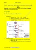 BIO 202 Ch&period; 20 - Cardiovascular System&colon; Blood Vessels and Circulation Study Guide 2026-2027