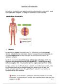 Cours sur le syst&egrave;me circulatoire 