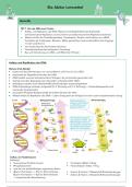 Zusammenfassung -  Biologie Abitur Hessen 2025